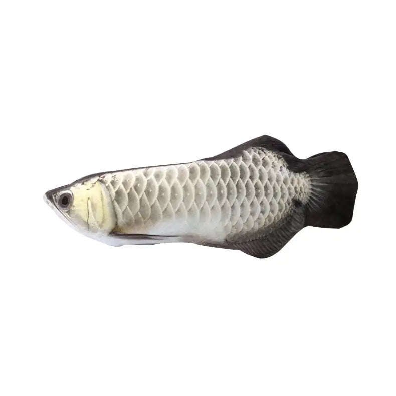 Beating Fish Plush Catnip Toy for Pets